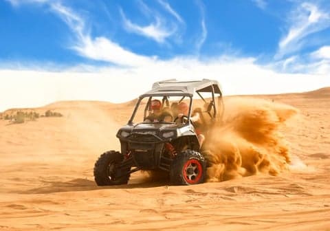 Safari adventure with BBQ dinner