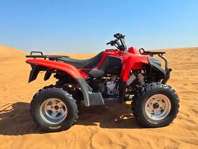 Access TE300